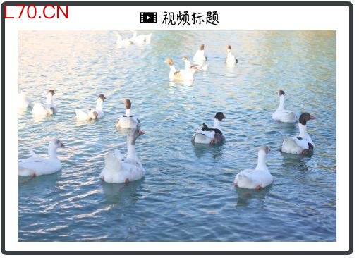 德雷肯米勒：过度分析是投资最大的错误、2026最担心的风险是“叙事泡沫”