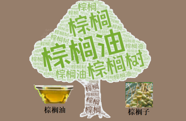 产量缺口遇上美国生柴新政，棕榈油逼空逻辑还能走多远？