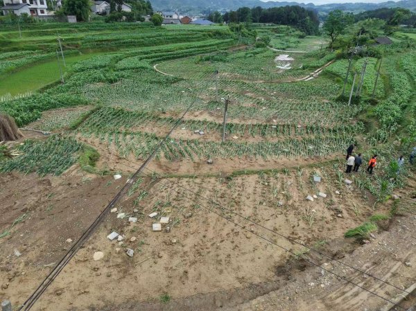 科技赋能显担当 极速理赔暖民心平安产险遵义中心支公司高效完成农险理赔工作