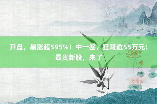 开盘，暴涨超595%！中一签，狂赚逾55万元！最贵新股，来了